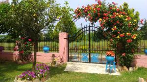 Zahrada ubytování Villa Mitselo Apartments