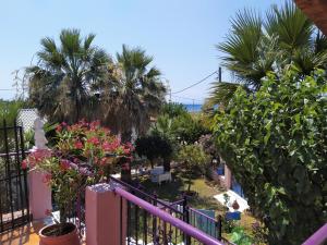 Zahrada ubytování Villa Mitselo Apartments