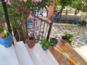 Balkón nebo terasa v ubytování Villa Mitselo Apartments