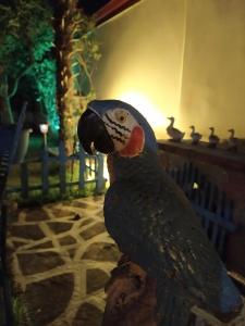Fotografie z fotogalerie ubytování Villa Mitselo Apartments v destinaci Nea Plagia