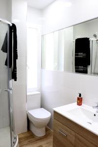 a bathroom with a toilet and a sink and a mirror at Urdintxoenea (Bilbao - Casco Viejo - Nuevo - Parking opc. - WIFI) in Bilbao