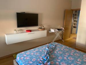 ein Wohnzimmer mit einem Flachbild-TV an der Wand in der Unterkunft I&S Apartment 1 in Golem
