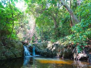 una cascata in mezzo a un fiume in una foresta di La Jorará a Palomino