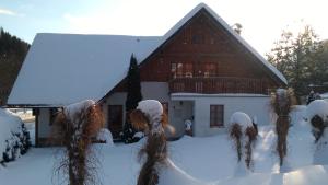 Apartmány 670 pod Lysou horou v zime