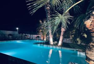 einen Swimmingpool mit Palmen in der Nacht in der Unterkunft Manca Residence in Marina di Palma