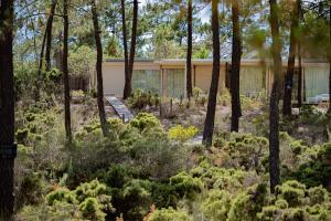 a house in the woods with trees and plants at Pestana Troia Eco-Resort & Residences in Troia