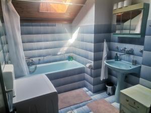 别洛瓦尔Apartman ŠIPA的带浴缸和水槽的蓝色浴室