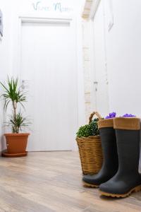 a pair of rubber boots and a basket of plants at Sfumature di Puglia in Turi