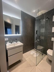 een badkamer met een douche, een wastafel en een toilet bij W-40.COM in Riezlern