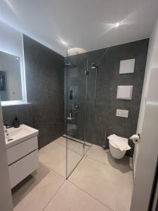 een badkamer met een douche, een toilet en een wastafel bij W-40.COM in Riezlern
