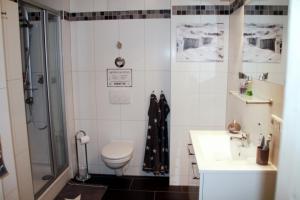 een badkamer met een toilet, een douche en een wastafel bij Meeresrauschen 3 - Großenbrode in Großenbrode