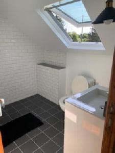 a bathroom with a sink and a toilet with a skylight at LA VILLA QUI A DU CHIEN in Neuville-sur-Touques