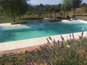 una gran piscina en un patio con en Mas de León en Cortes de Arenoso