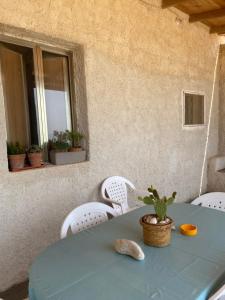 Fotografie z fotogalerie ubytování Baràka - Bungalow sulla spiaggia v destinaci Donnalucata