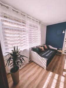 a bedroom with a bed and a window with a plant at Unicorn Hřensko in Hřensko