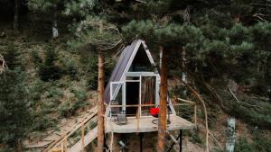 an overhead view of a tree house in a forest at Bazaletis Akvani 
