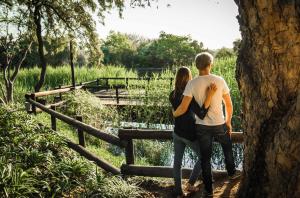 Un uomo e una donna in piedi accanto a un albero di Indaba Hotel, Spa & Conference Center a Johannesburg