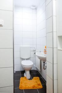 a white bathroom with a toilet and a sink at Landhaus Nordsee-Peerhuus in Friedrichskoog