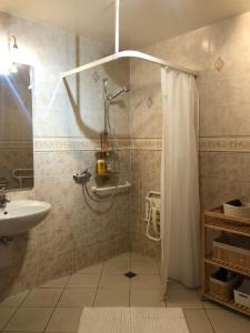 a bathroom with a shower and a sink at Gîte 11 pers - Cadre magnifique in Morbier