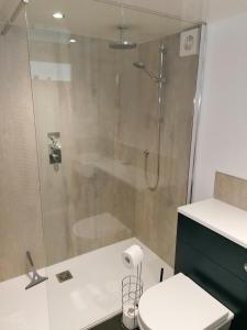 een badkamer met een douche en een toilet bij Coach House Cottage in Runswick