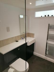 a bathroom with a toilet and a sink and a mirror at Coach House Cottage in Runswick