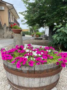 A garden outside B&B Relais Aeclanum