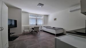 Kuchnia lub aneks kuchenny w obiekcie Apartmány U Jiříka