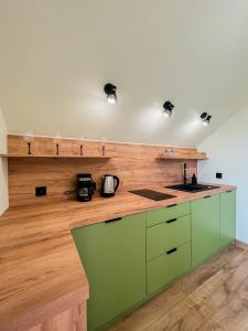 a kitchen with green cabinets and a counter top at Apartament Ptasi Śpiew in Rabka-Zdrój