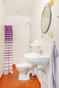 a bathroom with a sink and a toilet at Furudals Vandrarhem och Sjöcamping in Furudal