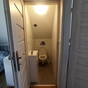 a small bathroom with a toilet and a sink at W cieniu Szarloty in Rydułtowy