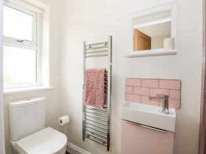 a bathroom with a toilet and a sink and a mirror at Daisy Tree Cottage in Woodhall Spa +31 photos
