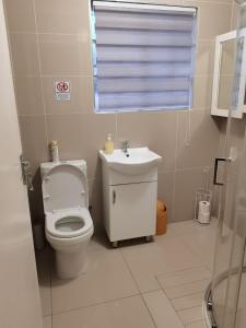 bagno con servizi igienici, lavandino e finestra di Rooikrans Guest House a Johannesburg