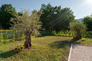 A garden outside La Terrazza Azzurra