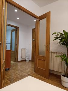 a hallway with wooden doors and a potted plant at Apt. Descenso del Sella, Arriondas in Arriondas +15 photos