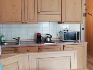 a kitchen counter with a microwave and a sink at La Casa degli Gnomi in Falcade +48 photos