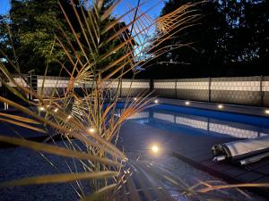 a swimming pool with lights in a backyard at night at Ennerla Hof in Pottenstein
