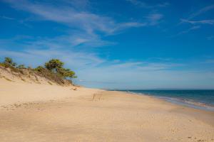 a sandy beach with trees and the ocean at Pestana Troia Eco-Resort & Residences in Troia
