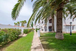 a palm tree in front of a building at Siesta Mar Originals in Cala'n Porter