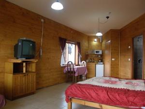 a bedroom with a bed and a tv in it at Biktot Hamatzok - Eucalyptus in Bruchim Qela' Alon