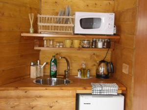 a kitchen with a sink and a microwave at Biktot Hamatzok - Eucalyptus in Bruchim Qela' Alon