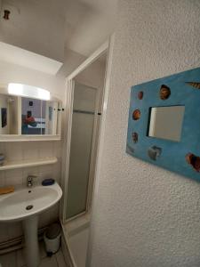 La salle de bains est pourvue d'un lavabo, d'une douche et d'un miroir. dans l'établissement Studio Agreable avec balcon, Situation Ideale a Carnac, à Carnac