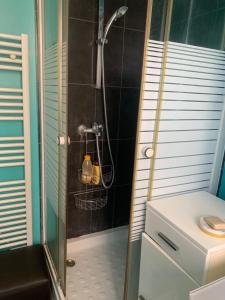 La salle de bains est pourvue d'une douche avec une porte en verre. dans l'établissement One Bedroom Appartement - Paris, à Paris