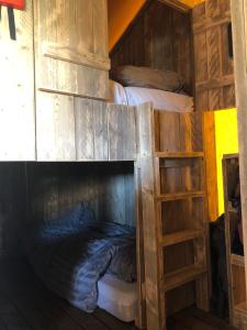 a room with two bunk beds and a ladder at De Hazelaarshof Luxe glampingtent bij natuurgebied De Millingerwaard in Kekerdom