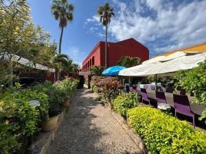 ゴレにあるHôtel Niwaの植物の並ぶ通り