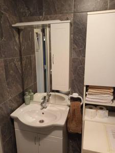 um banheiro com pia branca e espelho em Studio Apartment Dunja em Ogulin mais 17 fotografias