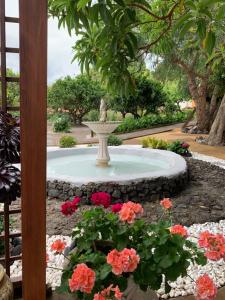 LoderoにあるVILLA LA CAPIROTAの花の咲く庭園の中の噴水