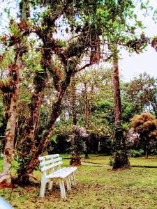 Chacara Lucinda - chales na Serra da Graciosa 야외 정원