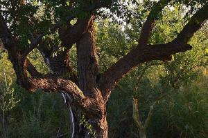 Galeriebild der Unterkunft CasaSana Wellness in Charbonier