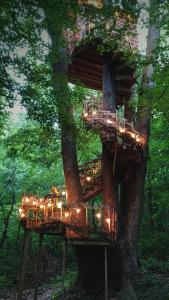 a tree house in the middle of a tree at Lost River Hostel in French Lick