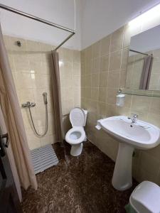 La salle de bains est pourvue de toilettes, d'un lavabo et d'une douche. dans l'établissement Vila Ada, à Bucarest